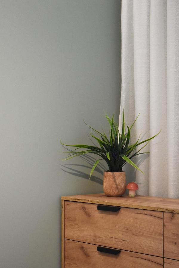 Vibrant Apartment ティラナ エクステリア 写真